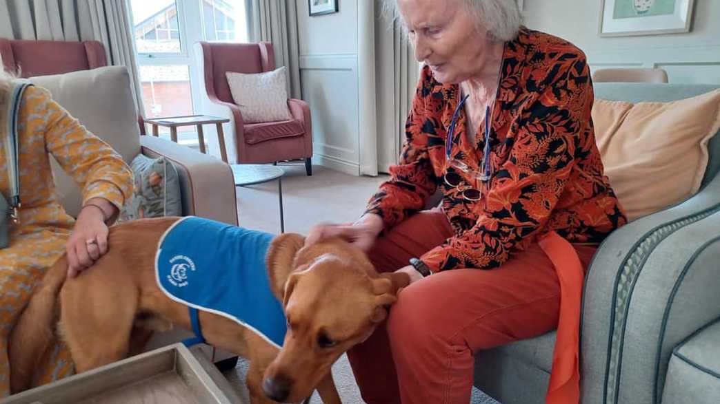 Clarendon House Care Home Buckingham activities-carousel - 2