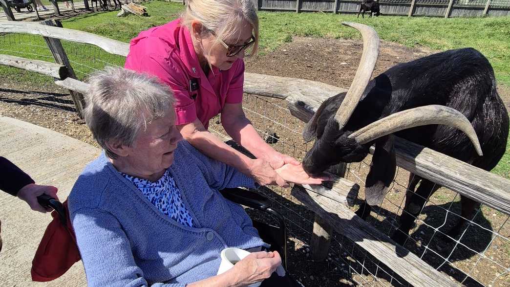 Wickham Care Home Care Home Chelmsford activities-carousel - 5