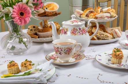 Redlands House Care Home Norwich  - 2