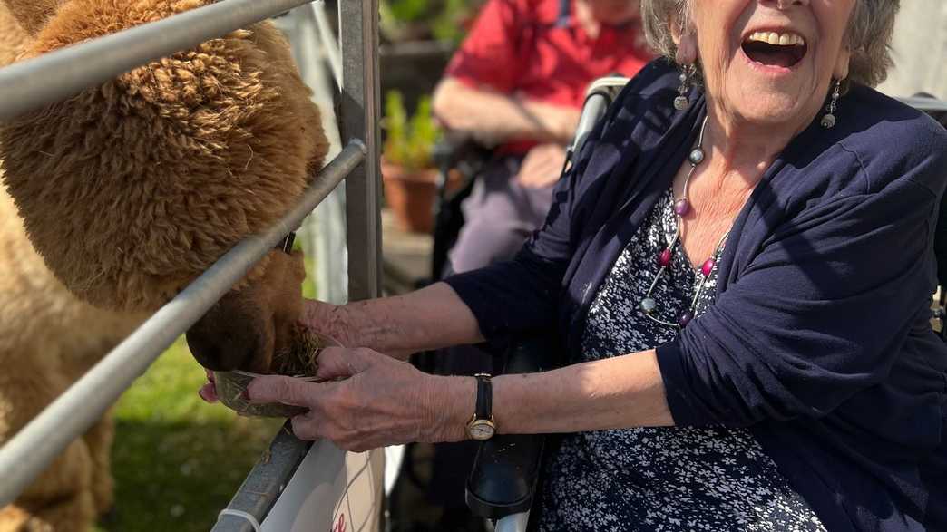 TLC Cambridge Manor Care Home Care Home Cambridge activities-carousel - 8