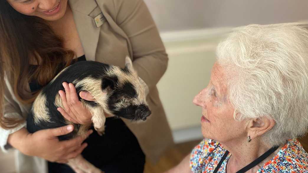 TLC Cooperscroft Care Home Care Home Potters Bar activities-carousel - 4