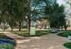 Arlington Grove - 2