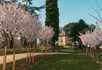 Arlington Grove - 3