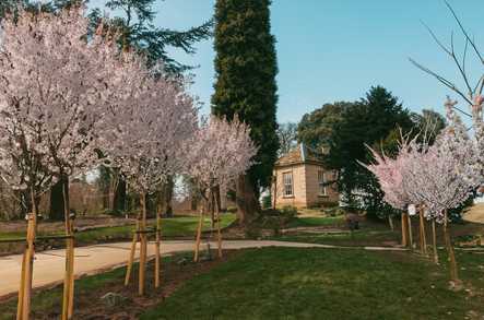Arlington Grove Care Home Bristol  - 3