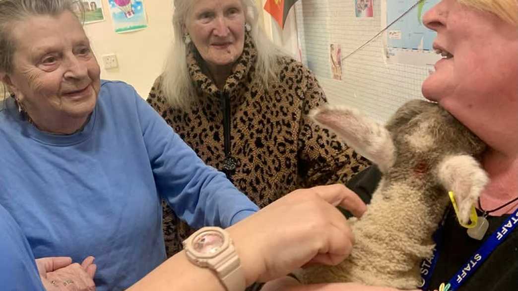 Ashfield Care Home Exmouth activities-carousel - 24