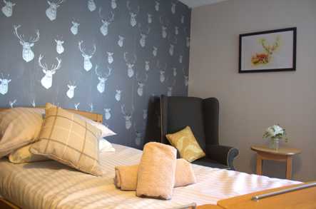 Bluebell Manor Care Home Morpeth  - 2