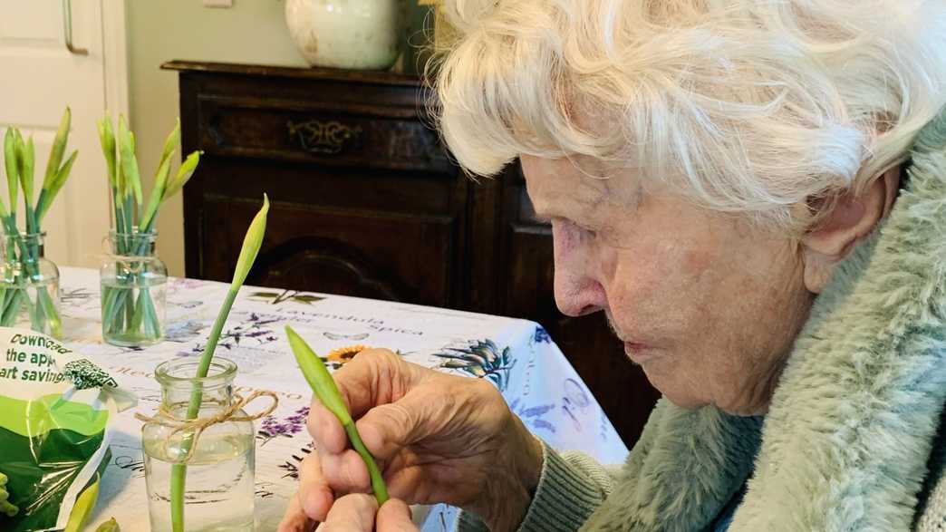 Alfriston Court Care Home Care Home Polegate activities-carousel - 15