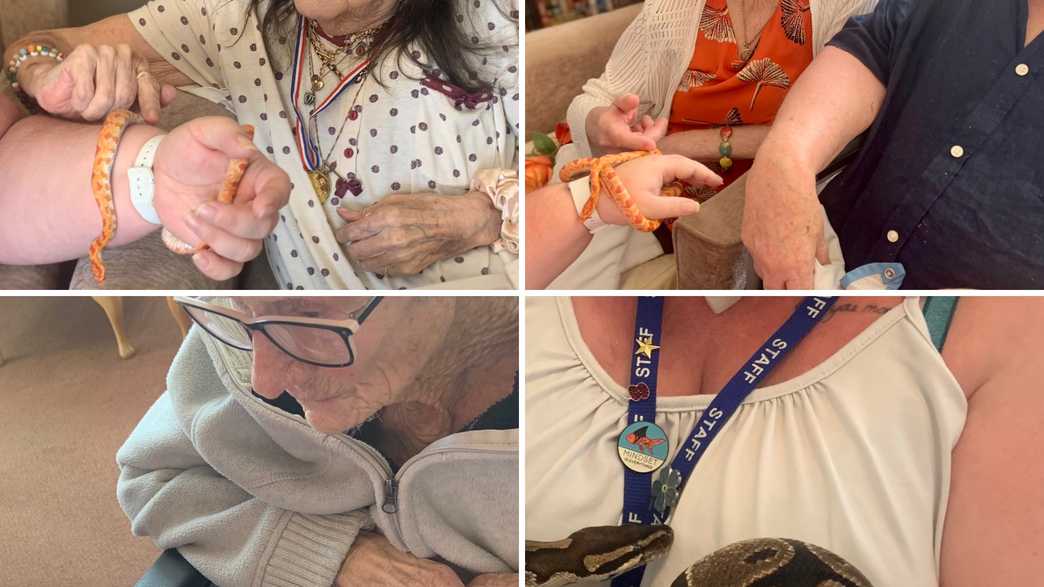 Ashfield Care Home Exmouth activities-carousel - 53