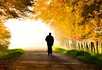 Lovage Homecare Ltd - 1