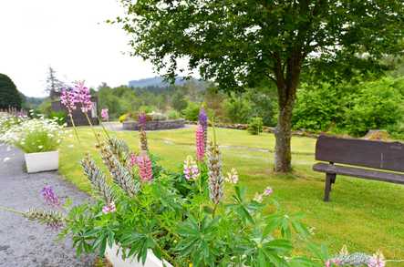 Allt Y Mynydd Nursing Home Care Home Llanybydder  - 5