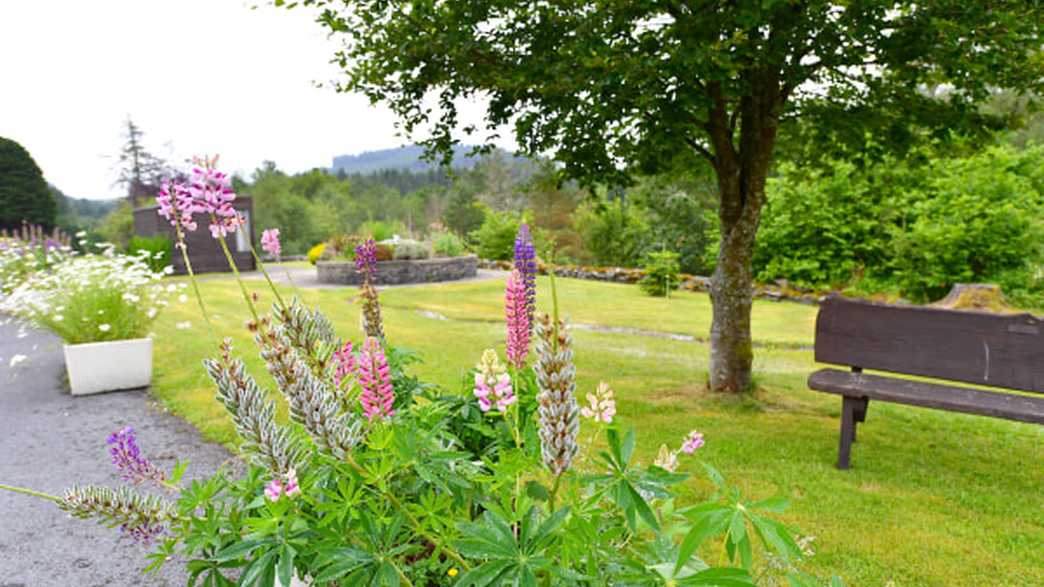 Allt Y Mynydd Nursing Home Care Home Llanybydder buildings-carousel - 4