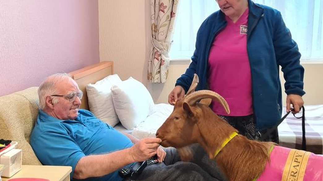 Allt Y Mynydd Nursing Home Care Home Llanybydder activities-carousel - 5