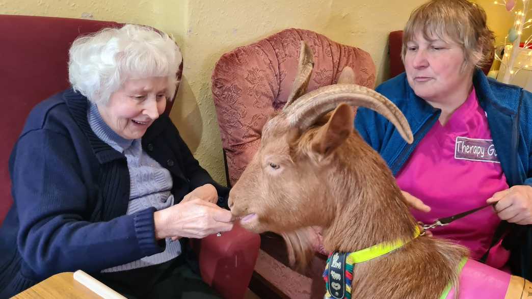 Allt Y Mynydd Nursing Home Care Home Llanybydder activities-carousel - 6