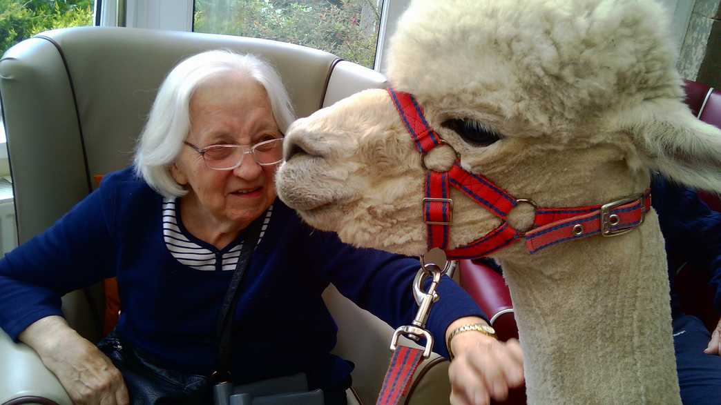 The Old Vicarage Care Home Grange Over Sands activities-carousel - 135