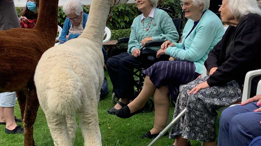 The Old Vicarage Care Home Grange Over Sands activities-carousel - 6