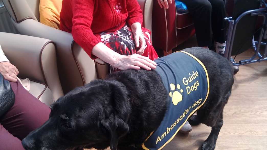 The Old Vicarage Care Home Grange Over Sands activities-carousel - 257
