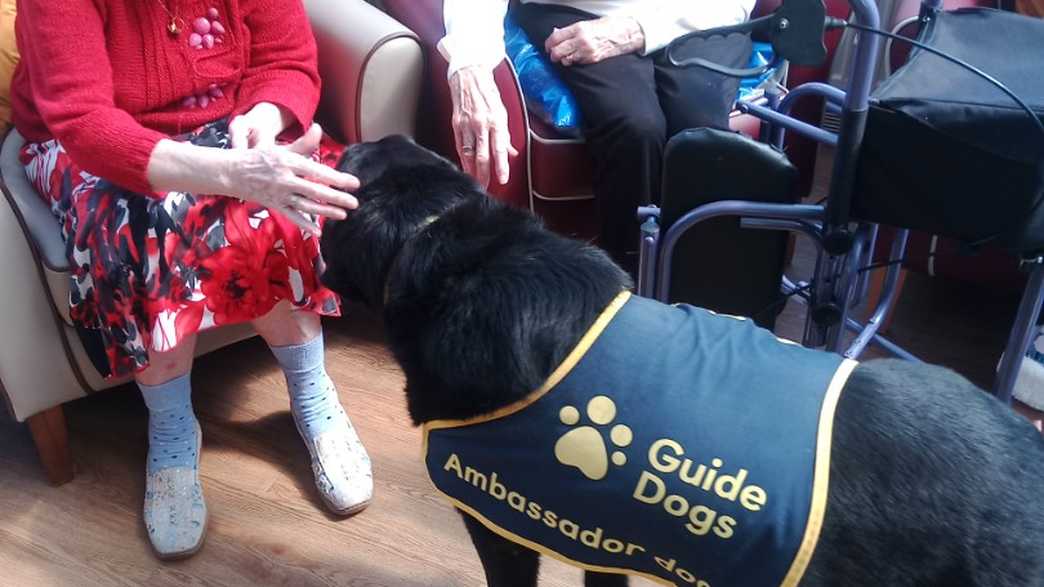 The Old Vicarage Care Home Grange Over Sands activities-carousel - 259
