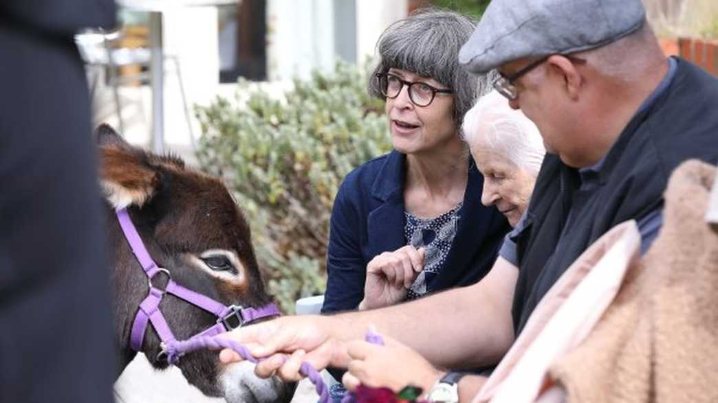 Oakwood House Care Home Care Home Norwich activities-carousel - 2