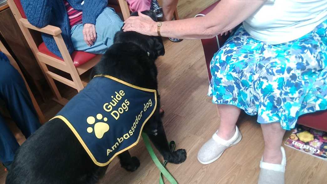 The Old Vicarage Care Home Grange Over Sands activities-carousel - 262