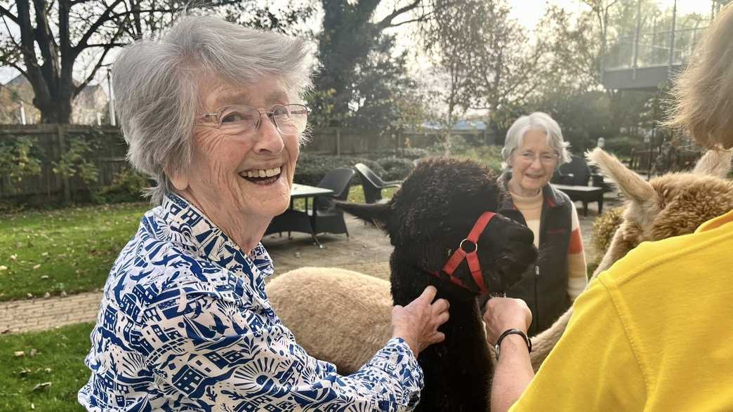 Anning House Care Home Weymouth activities-carousel - 14