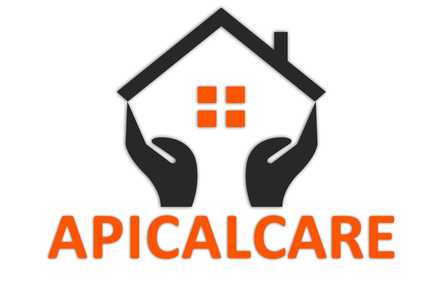 Apical Care Agency Ltd Basingstoke Branch Home Care Basingstoke  - 1