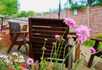 Ashcroft Nursing Home - Chesterfield - 3