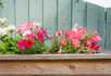 Ashley Court Care Home - 5