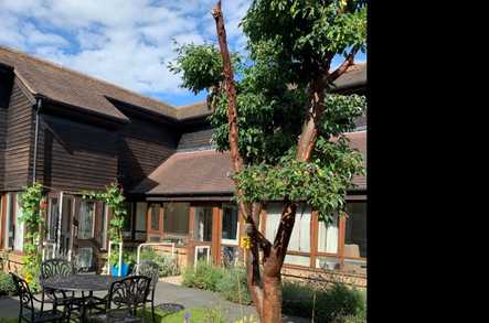 Ashwood - Ware Care Home Ware  - 4