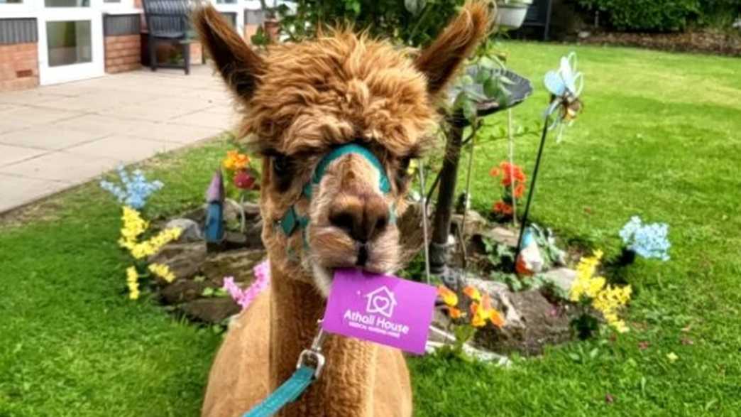 Atholl House Nursing Home Care Home Wolverhampton activities-carousel - 3