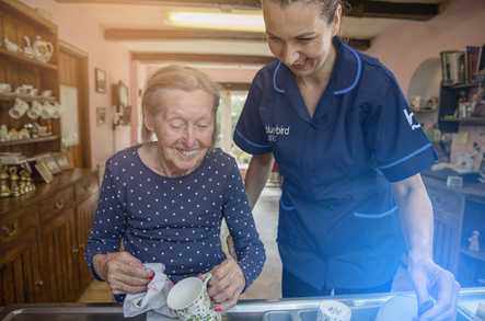 Bluebird Care East Suffolk, Great Yarmouth & Lowestoft Home Care Great Yarmouth  - 2