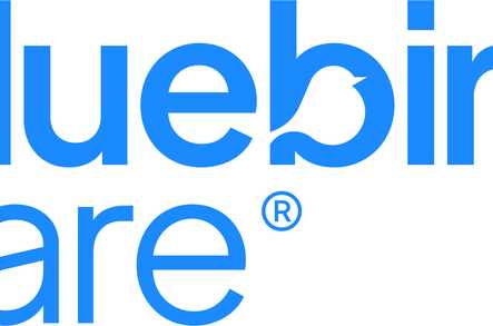 Bluebird Care Mid and West Cornwall Home Care Truro  - 1