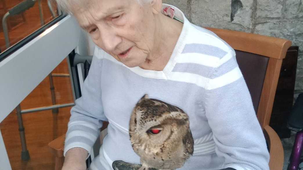 The Old Vicarage Care Home Grange Over Sands activities-carousel - 117