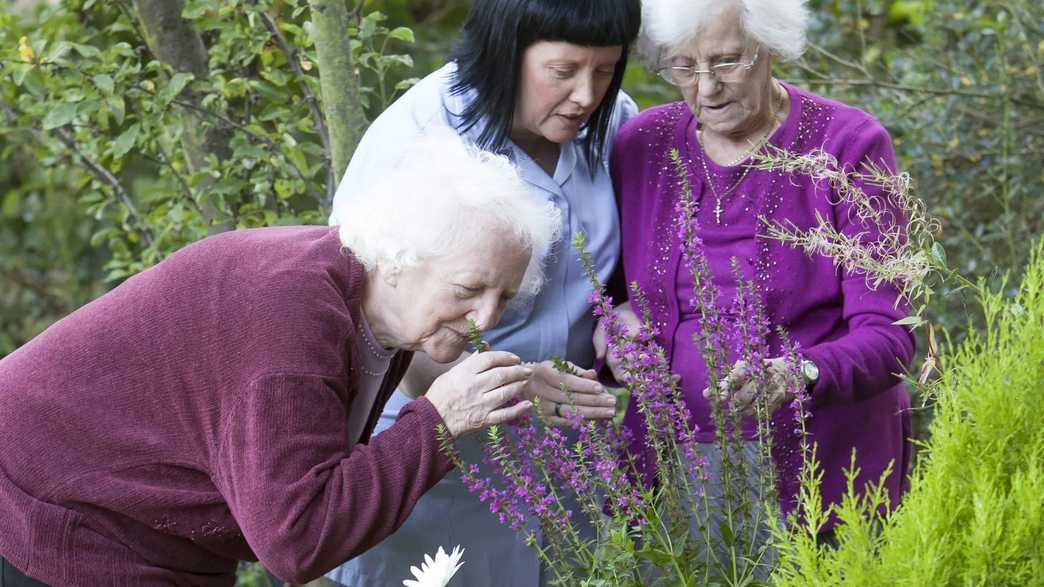 Barrington Lodge Care Home Care Home Bishop Auckland activities-carousel - 1