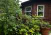 Beechcroft Nursing Home - 1