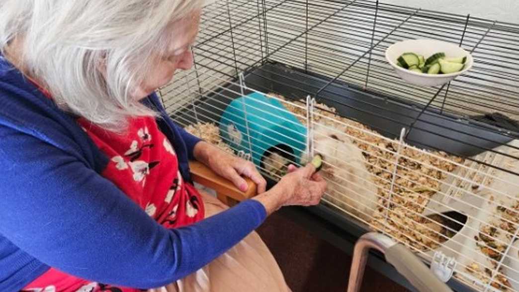 Beechmount Care Home Torquay activities-carousel - 3