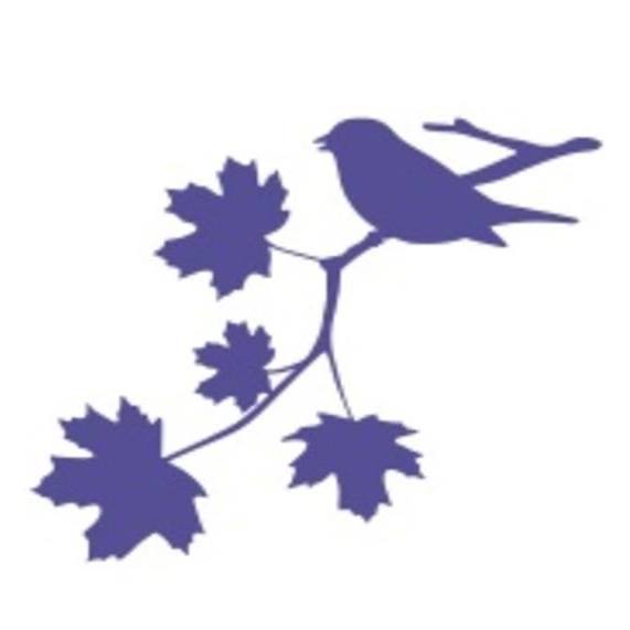 Berkeley Home Care Northwood Northwood