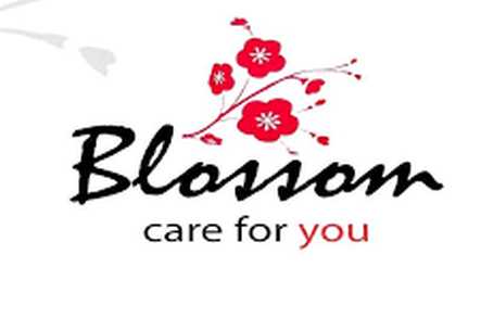 Blossom Care For You LTD Home Care Southampton  - 1