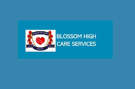Blossom High Home Care Grays  - 1