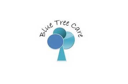 Blue Tree Care Limited Home Care Oldham  - 1