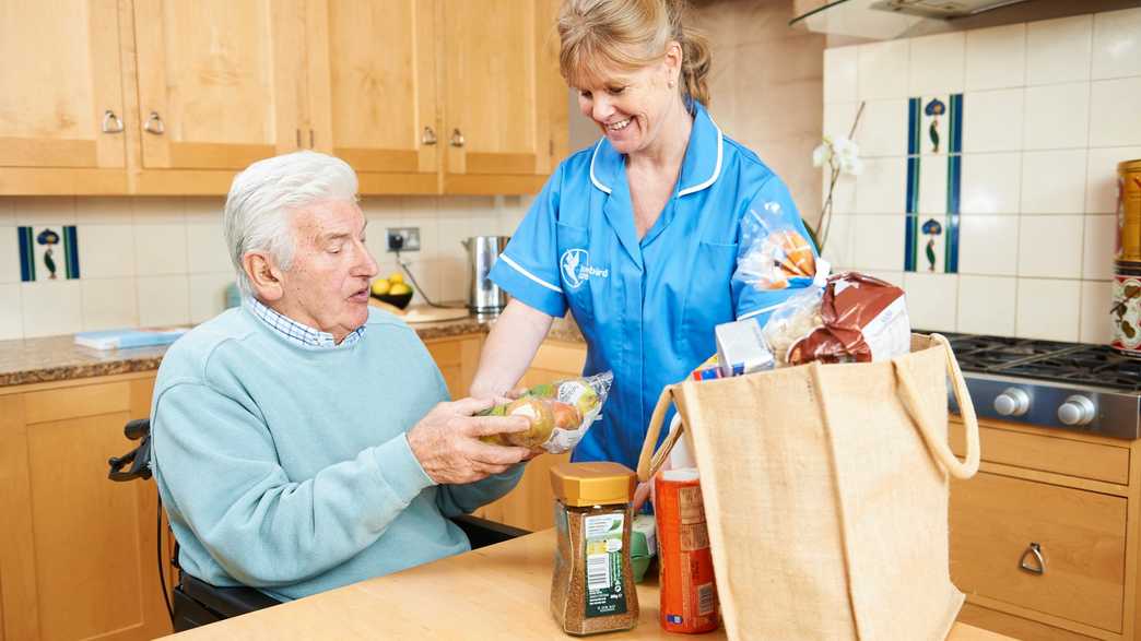 Bluebird Care Camden & Hampstead Home Care London meals-carousel - 1