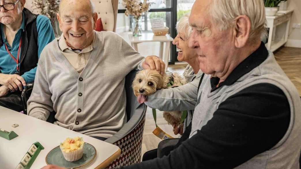 Brackley Care Home Care Home Brackley activities-carousel - 3