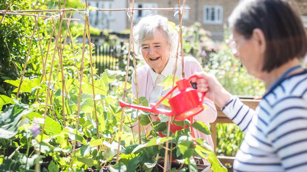 Bramley Court Care Home Care Home Histon activities-carousel - 5