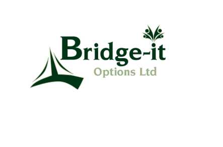 Bridge-it Options Ltd Home Care Thatcham  - 1