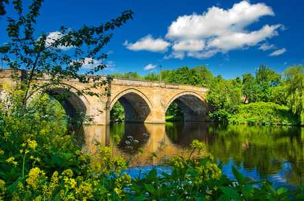 Bluebird Care Darlington, South Durham and Yarm Home Care Darlington  - 1