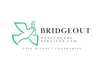 Bridgeout Healthcare Services Ltd - 1