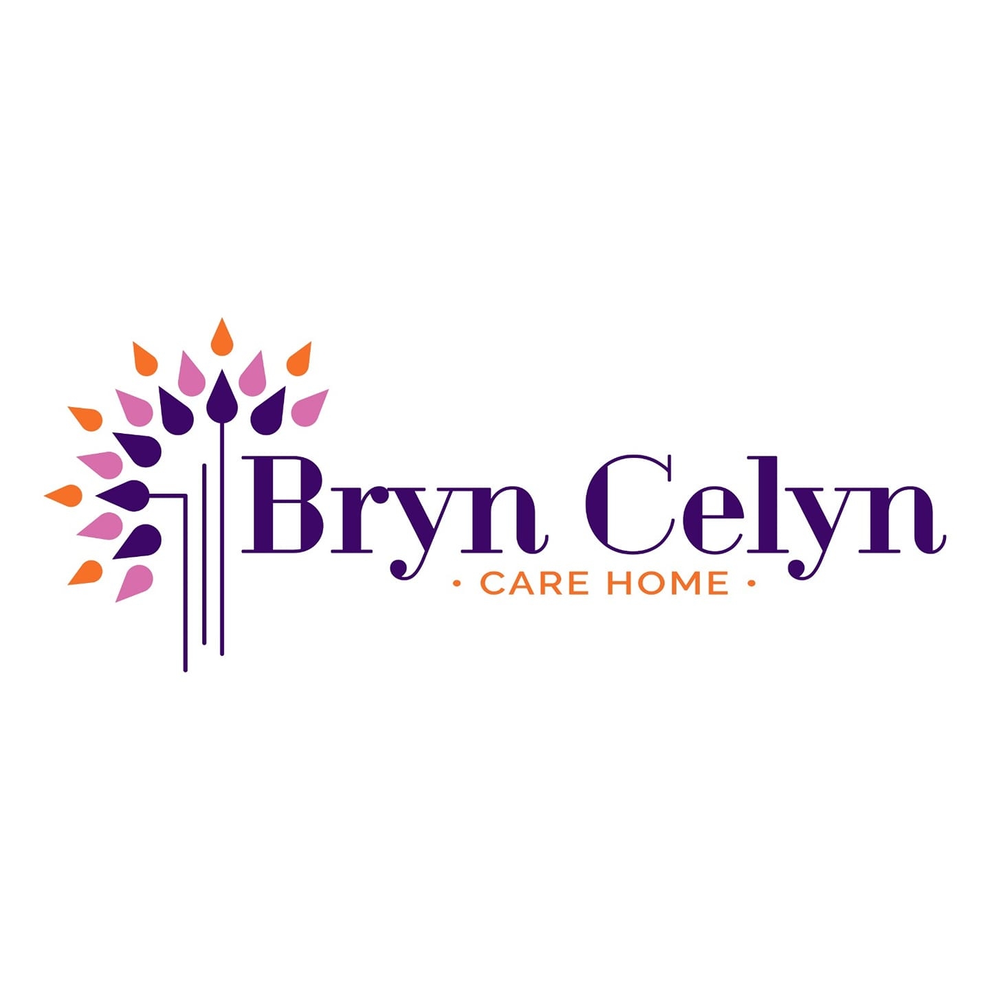 Bryn Celyn Care Home Care Home Cardiff, CF34 9LS