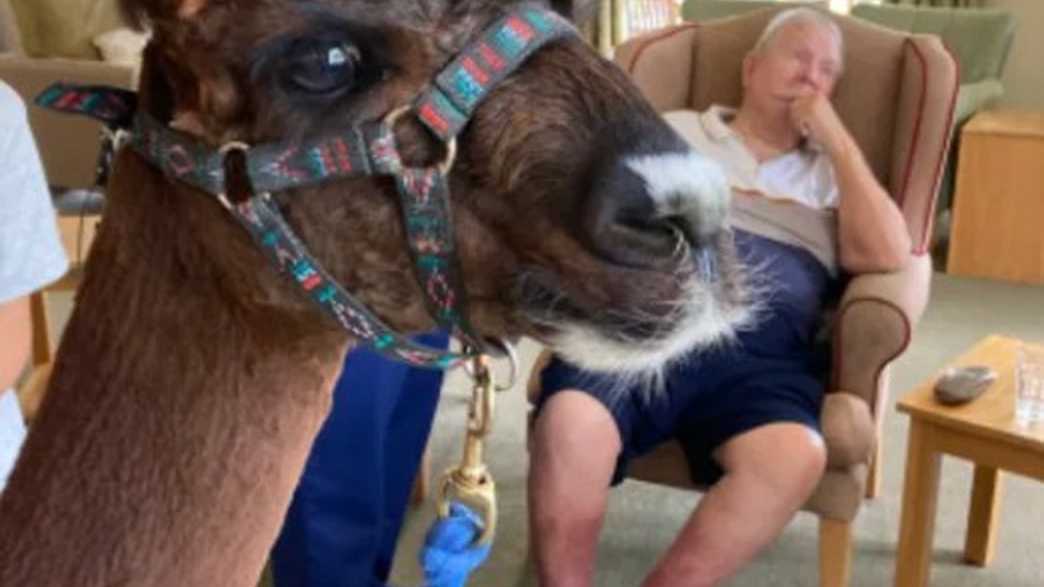 Bryn Ivor Lodge Care Home Care Home Castleton activities-carousel - 3