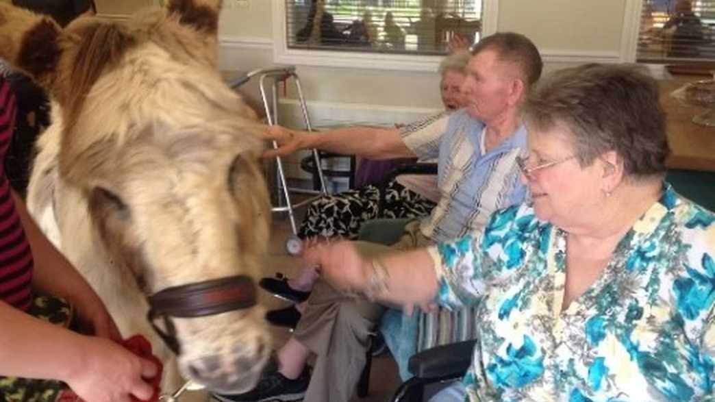 OSJCT Coombe End Court Care Home Marlborough activities-carousel - 4