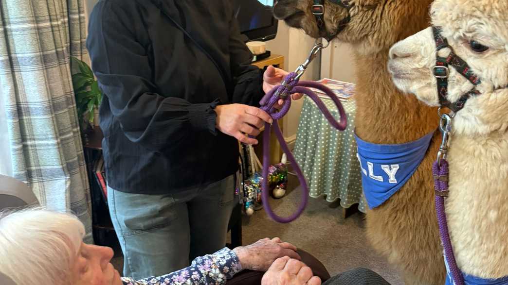 Gibraltar Nursing Home Care Home Monmouth activities-carousel - 12