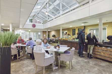Lynwood Village Retirement Living Ascot  - 2